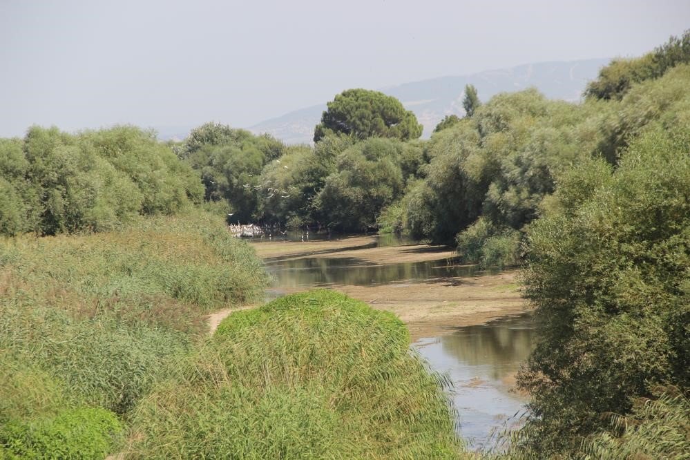 "Gediz Nehri’nin kirlilik baskısını tek başımıza engelleyemeyiz"
