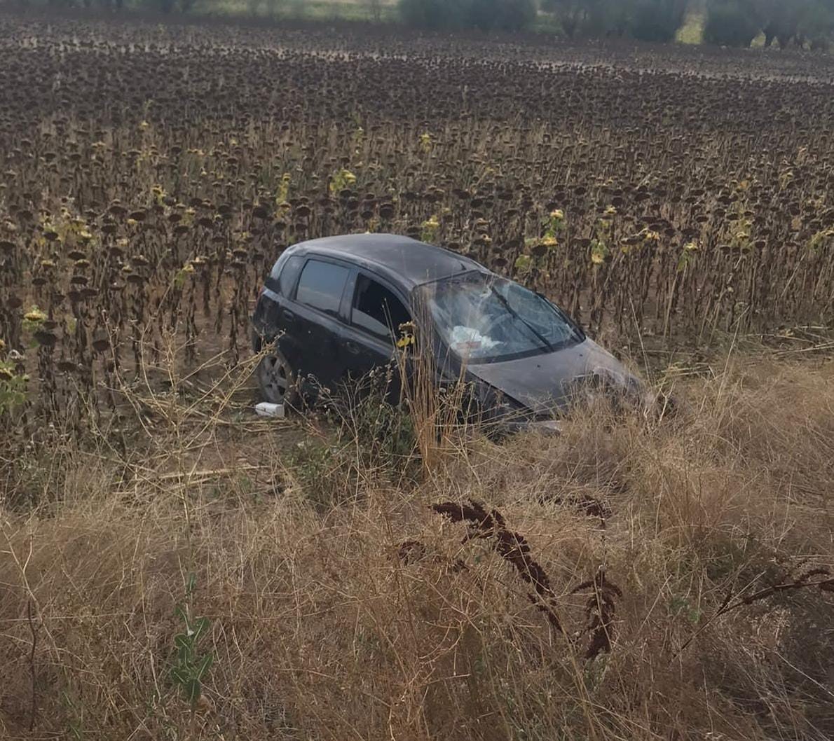 Takla atıp ayçiçek tarlasına giren otomobilde 2 kişi yaralandı