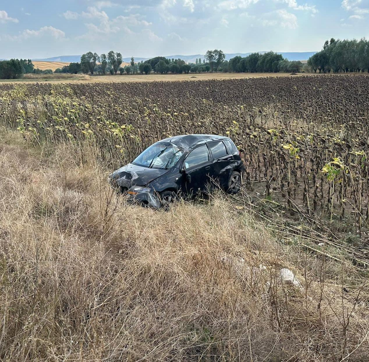 Takla atıp ayçiçek tarlasına giren otomobilde 2 kişi yaralandı