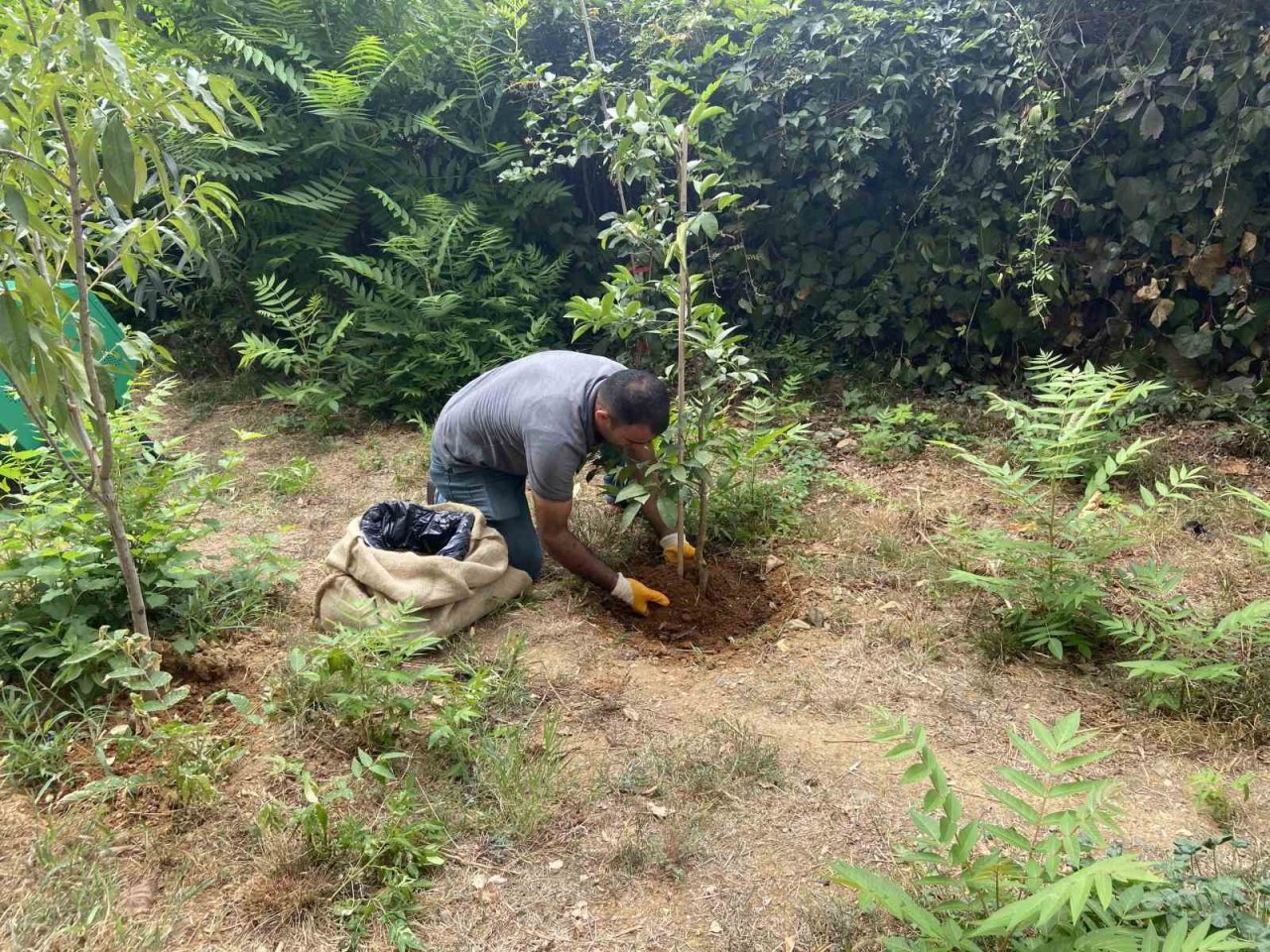 Beykoz Belediyesi ‘Sıfır Atık’ projesinde bir ilki gerçekleştirdi