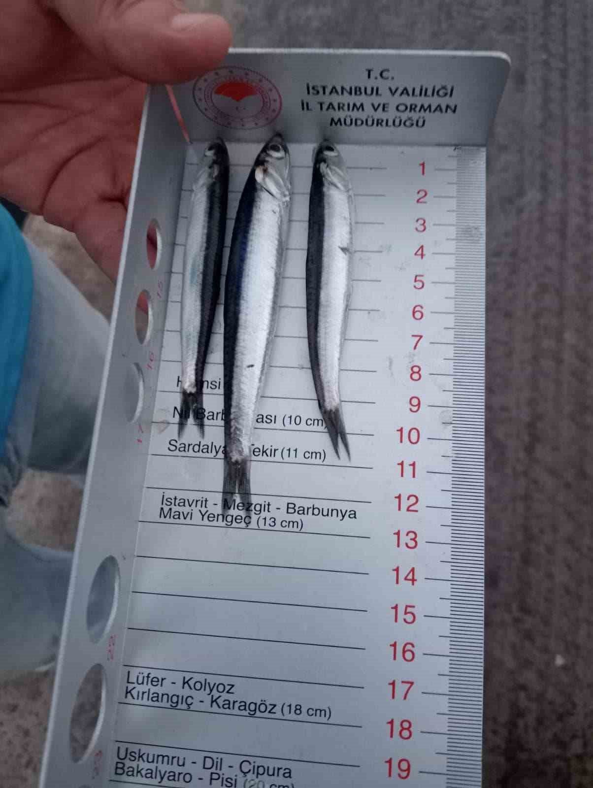 Balık avı sezonu ile birlikte gırgır teknelerinde denetimler de başladı