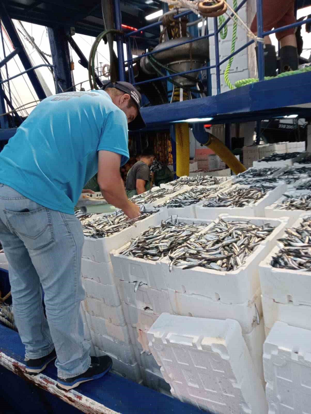 Balık avı sezonu ile birlikte gırgır teknelerinde denetimler de başladı