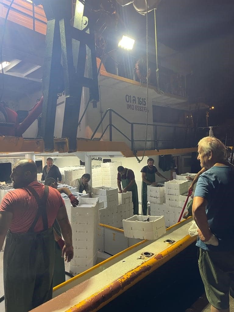 Balık avı sezonu ile birlikte gırgır teknelerinde denetimler de başladı