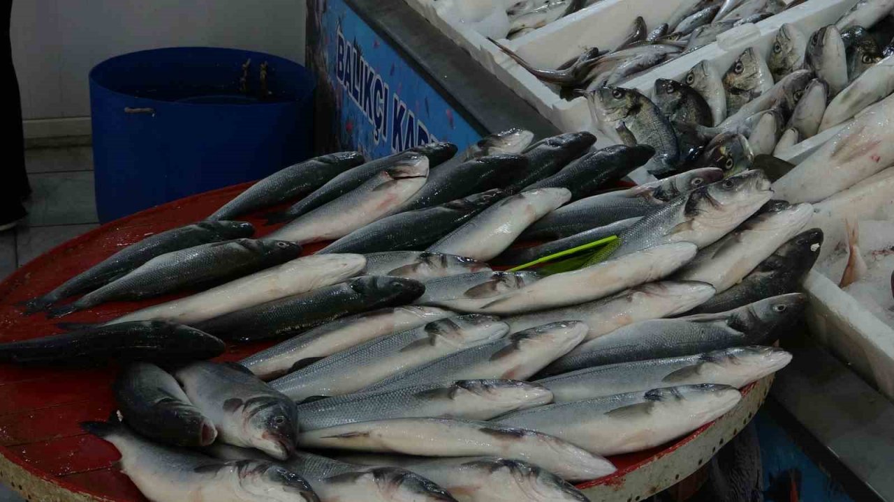Muğla’da taze balıklar tezgahlardaki yerini aldı