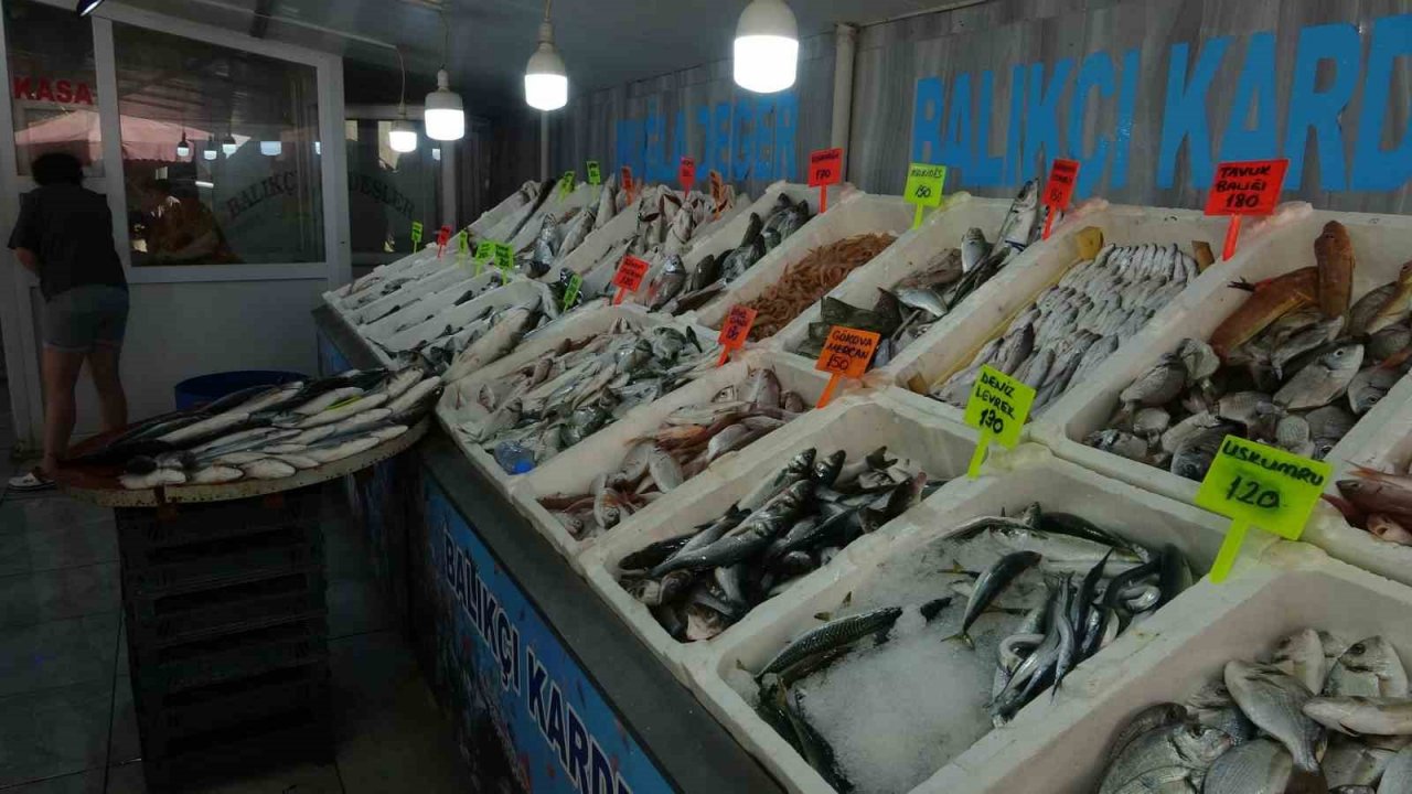 Muğla’da taze balıklar tezgahlardaki yerini aldı