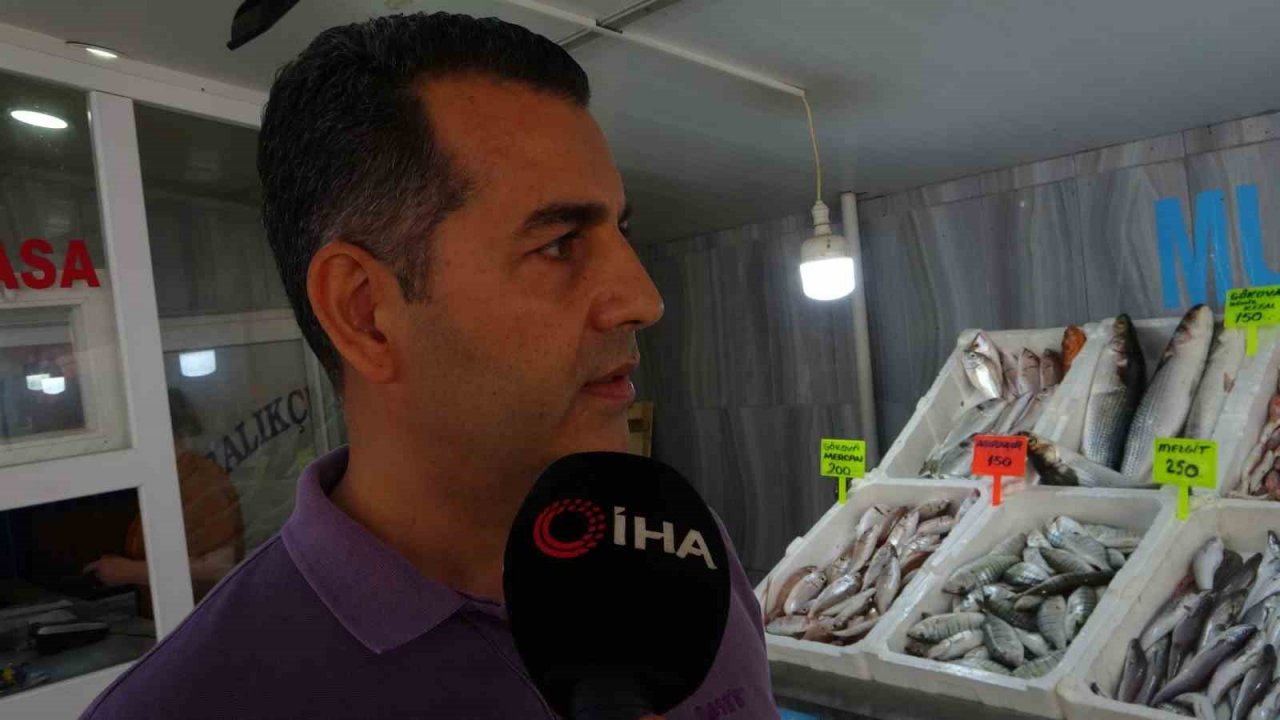 Muğla’da taze balıklar tezgahlardaki yerini aldı