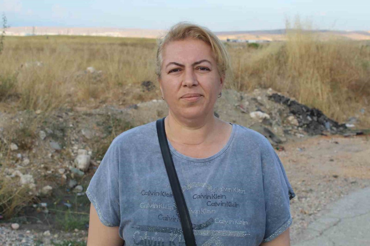 Başıboş köpek sorunu mahalle halkını isyan ettirdi