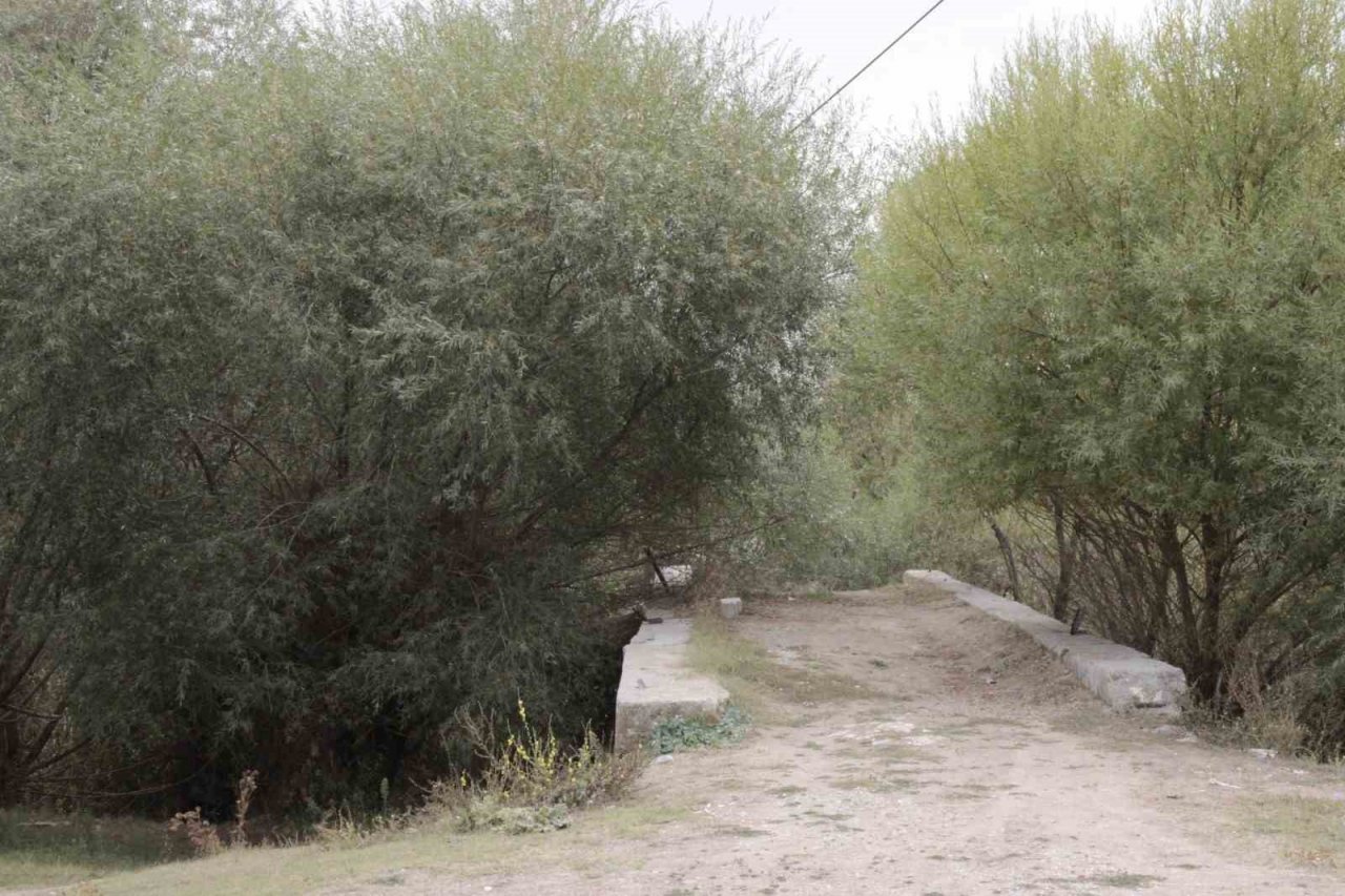 Kanuni’yi Rodos seferine götüren tarihi köprü yok oluyor