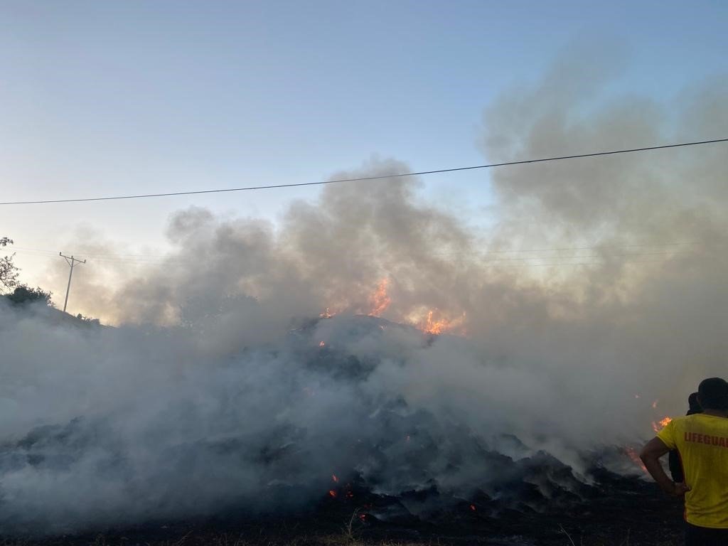 Bir yıllık emek kül oldu