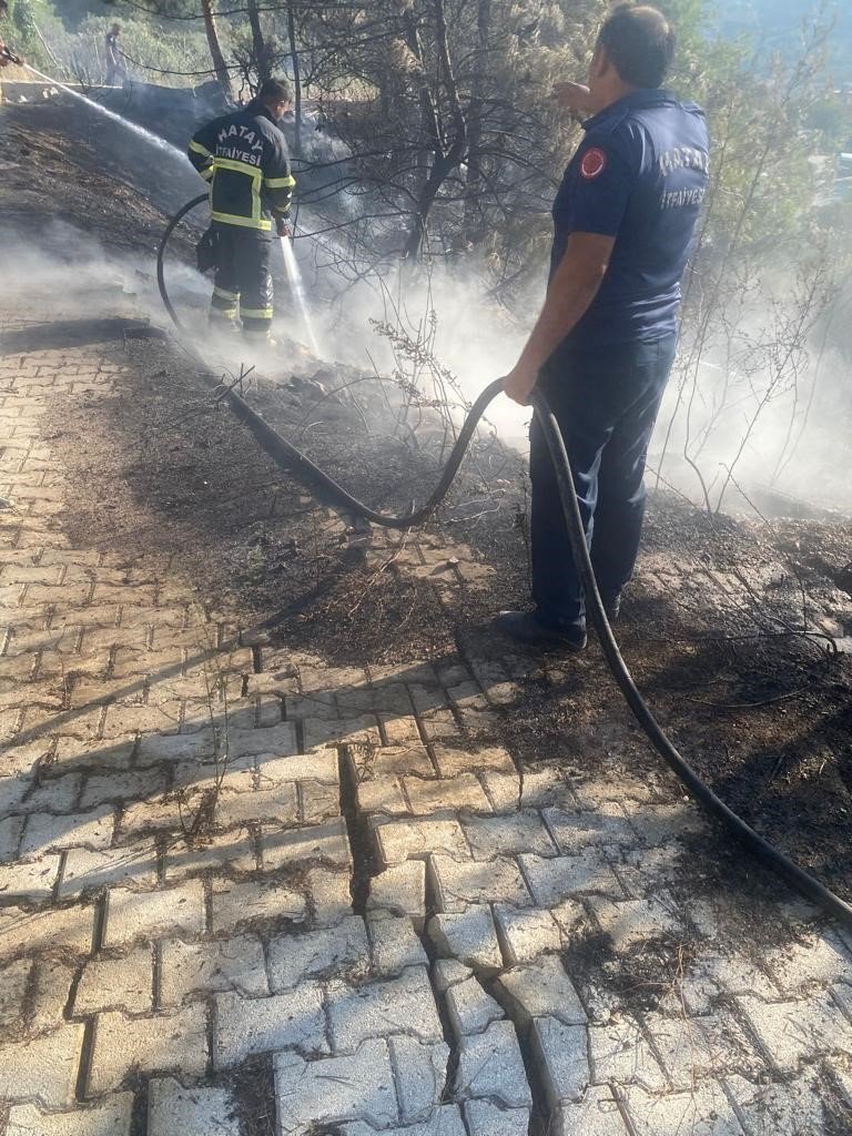 Orman yangını büyümeden söndürüldü