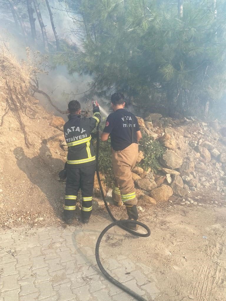 Orman yangını büyümeden söndürüldü