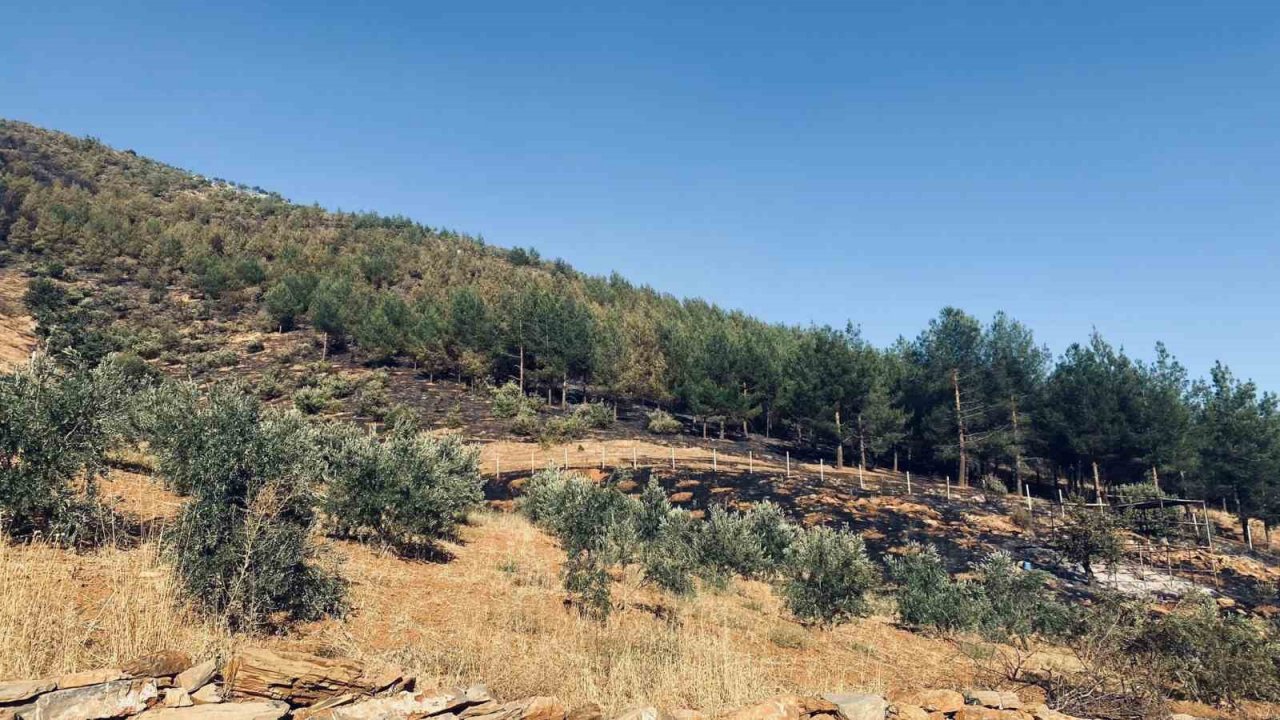 Kahramanmaraş’taki orman yangınına müdahale sürüyor