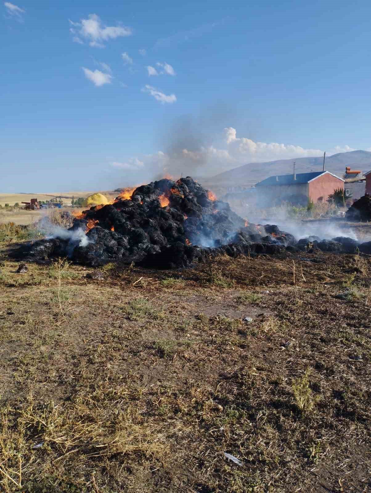 Kars’ta 20 ton ot yanarak kül oldu