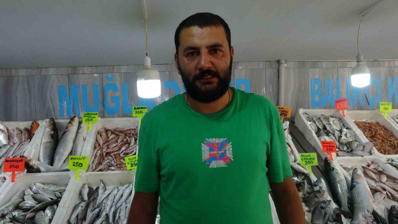 Muğla’da taze balıklar tezgahlardaki yerini aldı