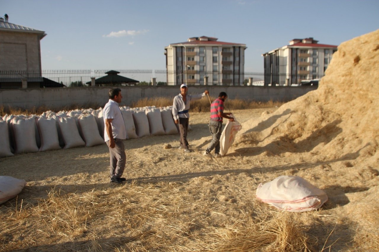 Malazgirt’te saman satışı başladı
