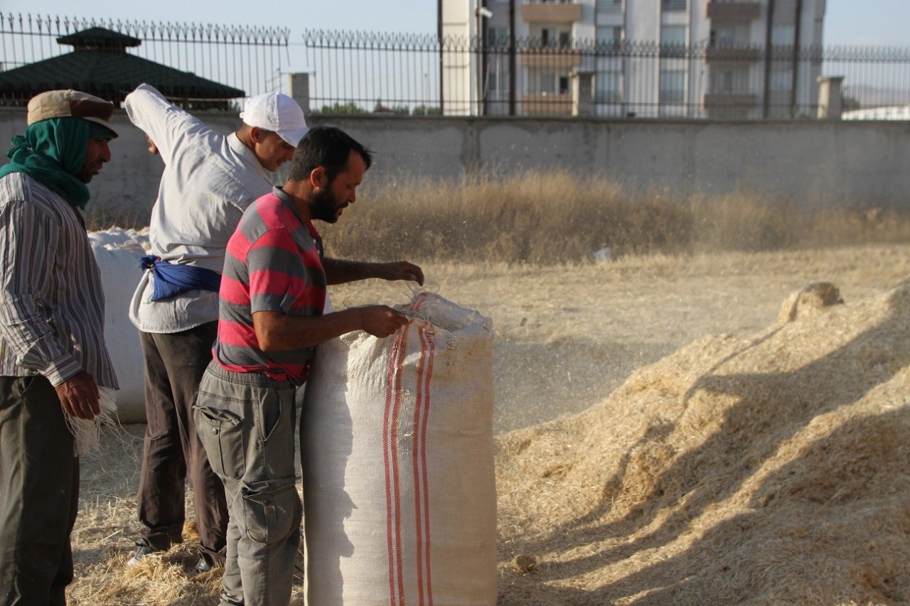 Malazgirt’te saman satışı başladı