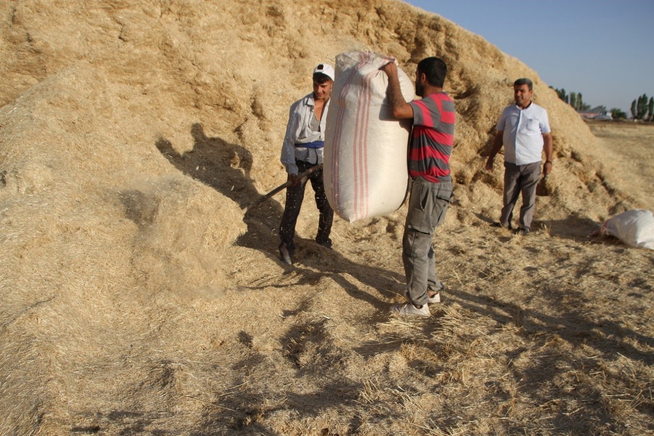 Malazgirt’te saman satışı başladı