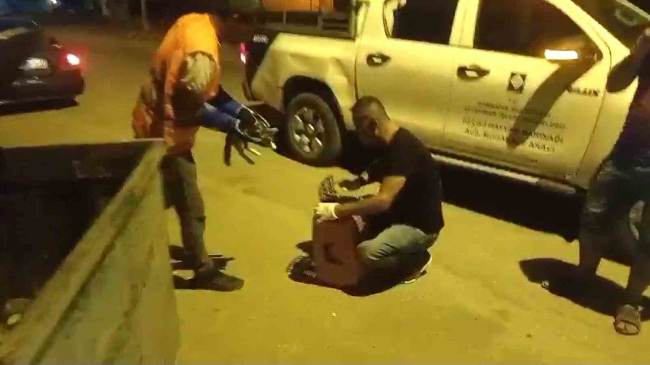 Osmaniye’de otomobilin çarptığı yaralı sokak kedisi tedavi altına alındı