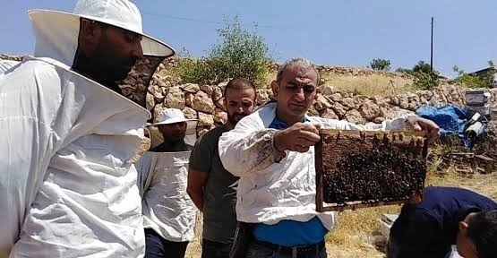 Siirt’te arıcılara 3 bin adet kovan hibe edilecek
