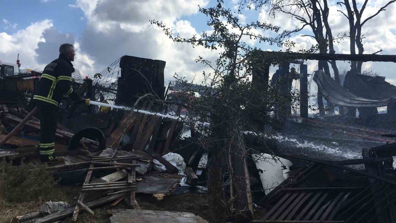 Ağılda çıkan yangın ormana sıçramadan söndürüldü