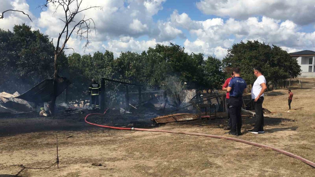 Ağılda çıkan yangın ormana sıçramadan söndürüldü