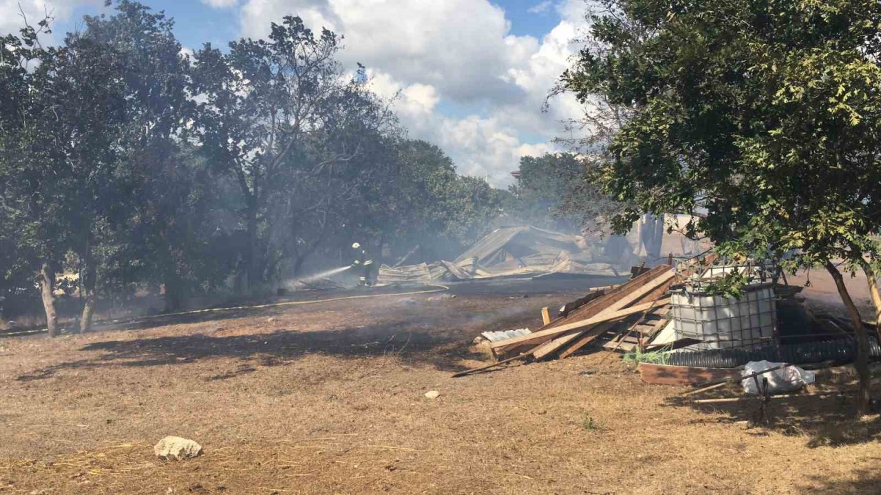 Ağılda çıkan yangın ormana sıçramadan söndürüldü