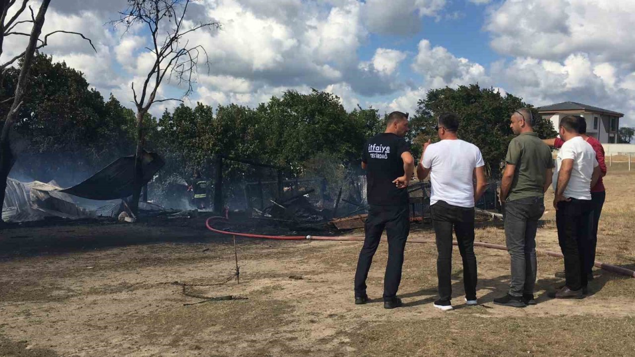Ağılda çıkan yangın ormana sıçramadan söndürüldü