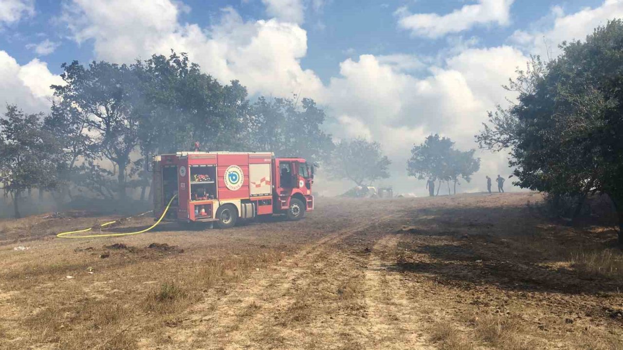 Ağılda çıkan yangın ormana sıçramadan söndürüldü