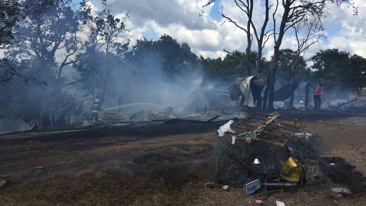 Ağılda çıkan yangın ormana sıçramadan söndürüldü