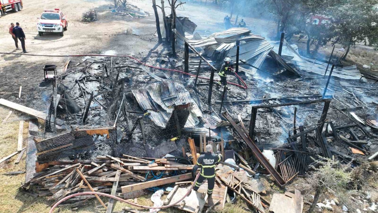 Ağılda çıkan yangın ormana sıçramadan söndürüldü