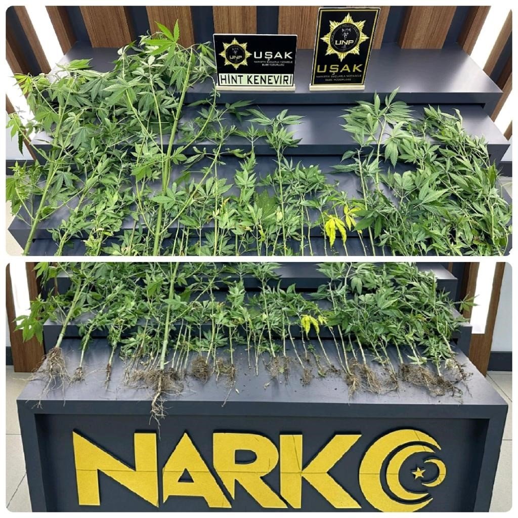 Uşak’ta uyuşturucan bir ayda 88 şüpheli yakalandı