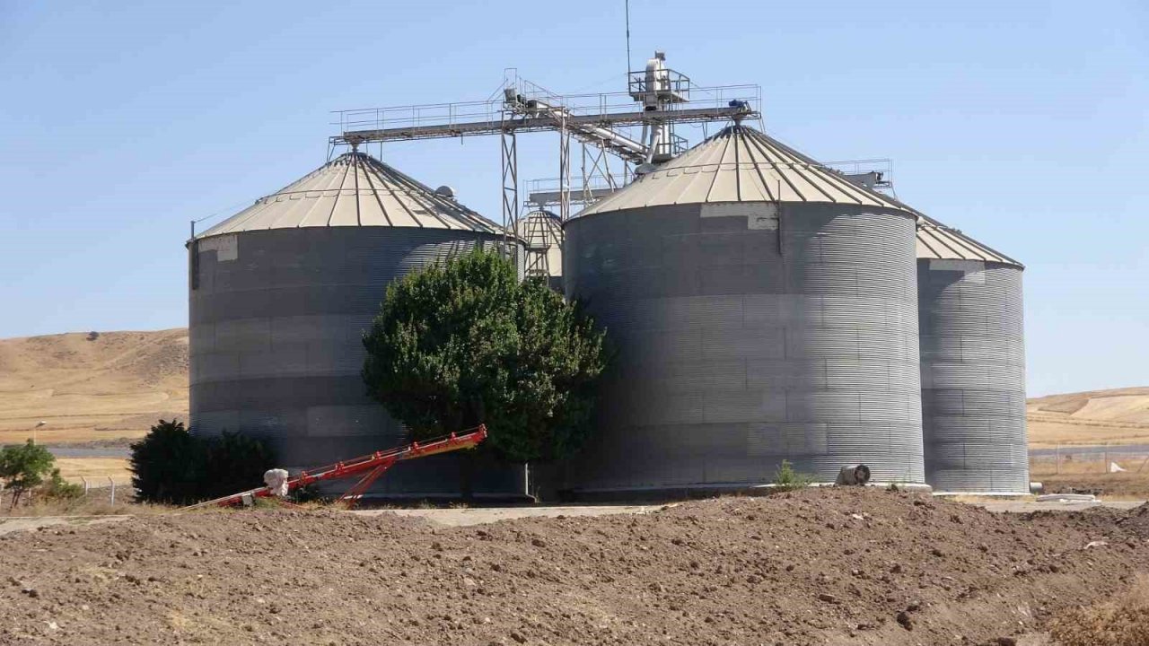 TMO Yozgat genelinde 800 bin ton hububat alımı gerçekleştirdi