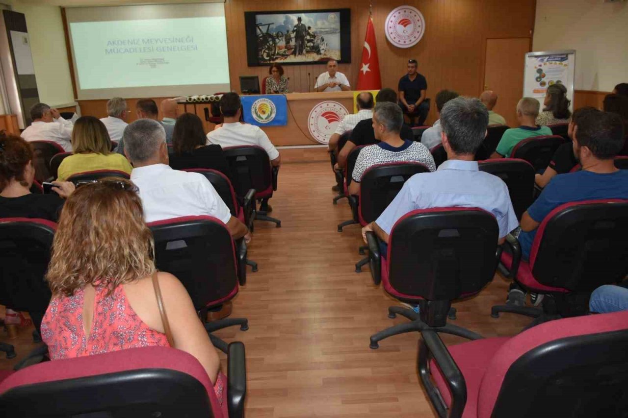 Aydın’da Akdeniz Meyve Sineği ile mücadele başladı