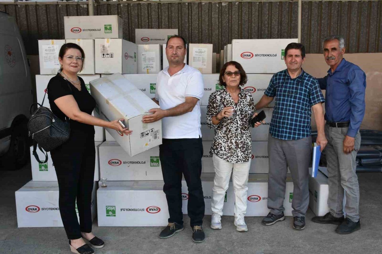 Aydın’da Akdeniz Meyve Sineği ile mücadele başladı