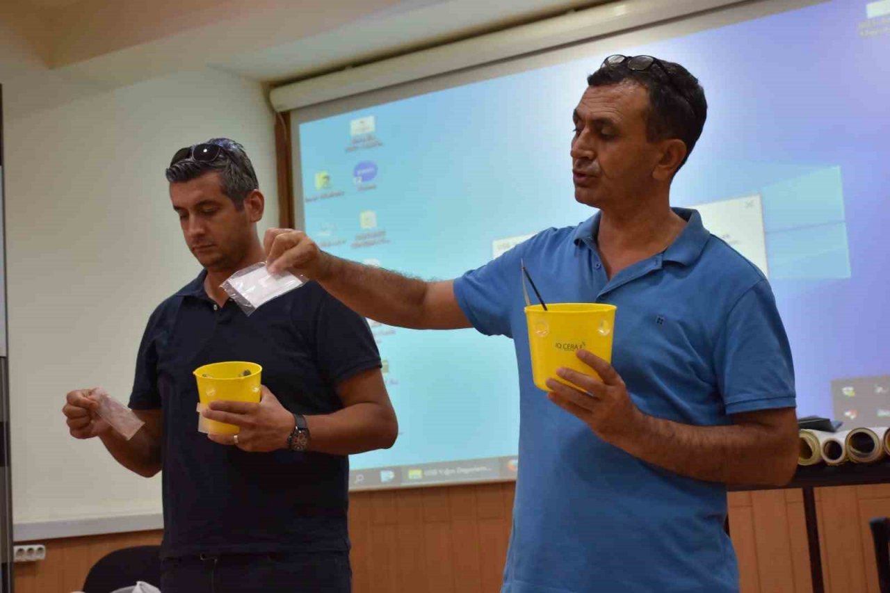 Aydın’da Akdeniz Meyve Sineği ile mücadele başladı