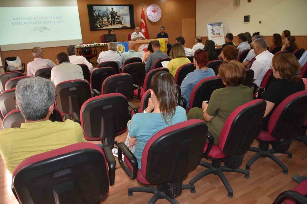 Aydın’da Akdeniz Meyve Sineği ile mücadele başladı
