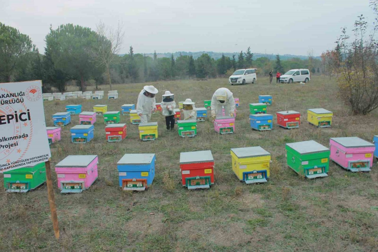 Gökkuşağı renkleriyle bal üretimi