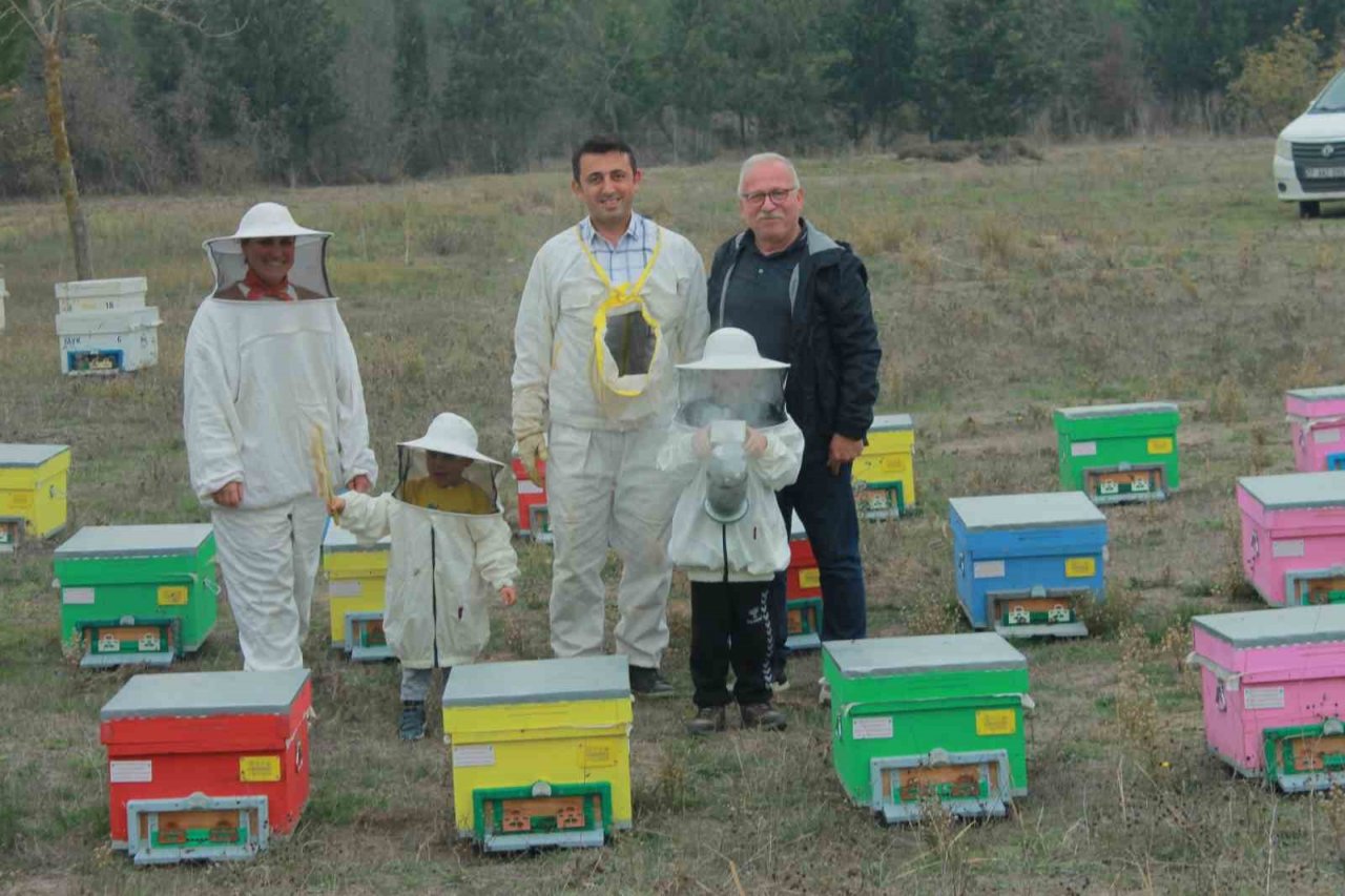 Gökkuşağı renkleriyle bal üretimi