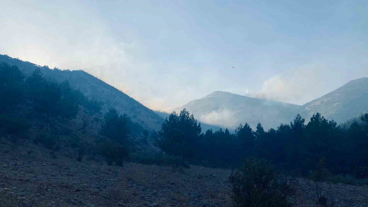 Kahramanmaraş’taki orman yangını kontrol altına alındı