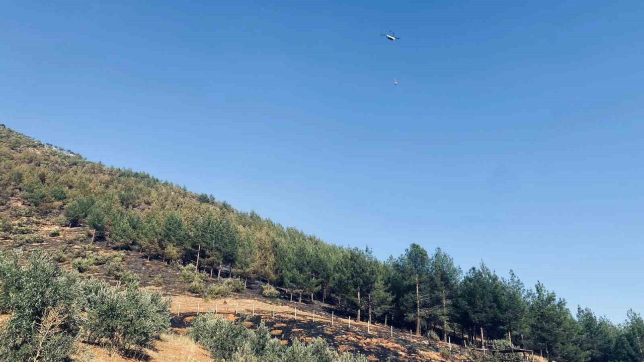 Kahramanmaraş’taki orman yangını kontrol altına alındı