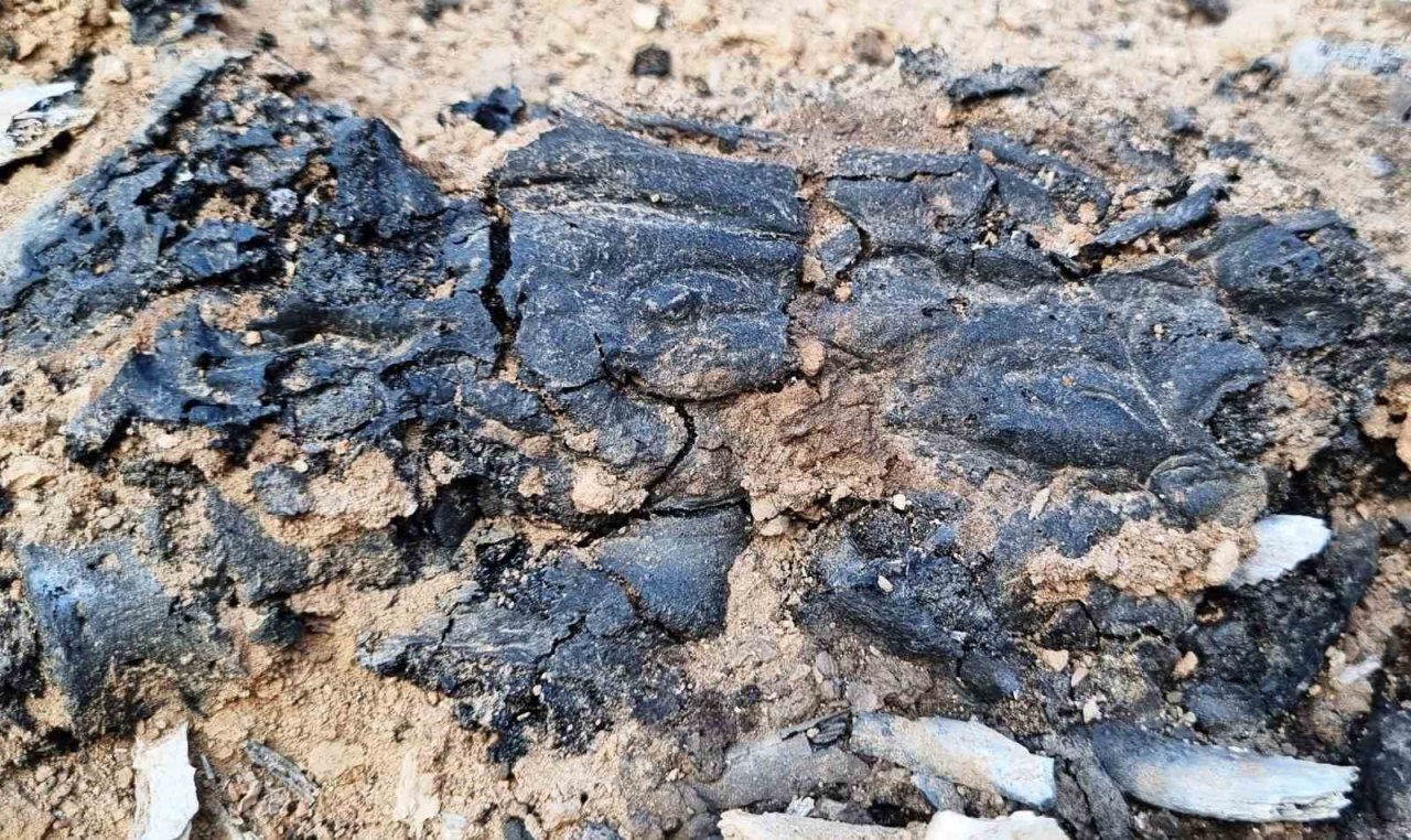 Tavşanlı Höyük kazılarında 3 bin 700 yıllık insan beyni ve deri kalıntıları çıktı