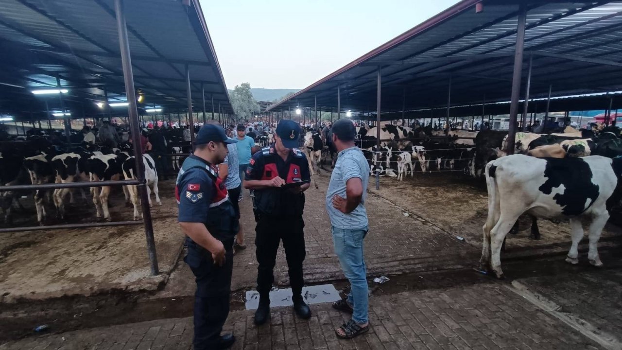 Jandarma ekipleri hayvan sahiplerini uyardı