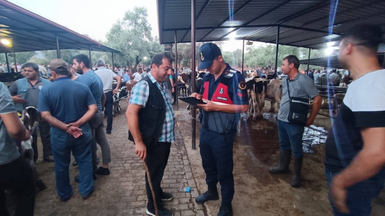 Jandarma ekipleri hayvan sahiplerini uyardı