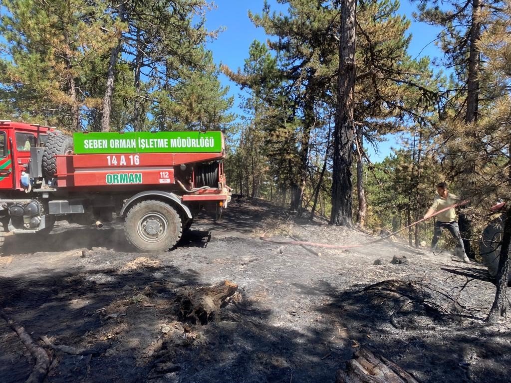 Orman yangınına erken müdahale felaketi önledi