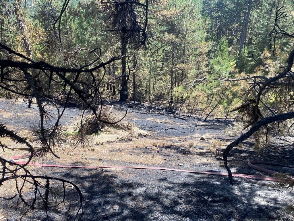 Orman yangınına erken müdahale felaketi önledi