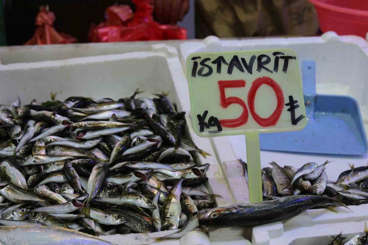 Palamut olmayınca krallık hamsiye kaldı