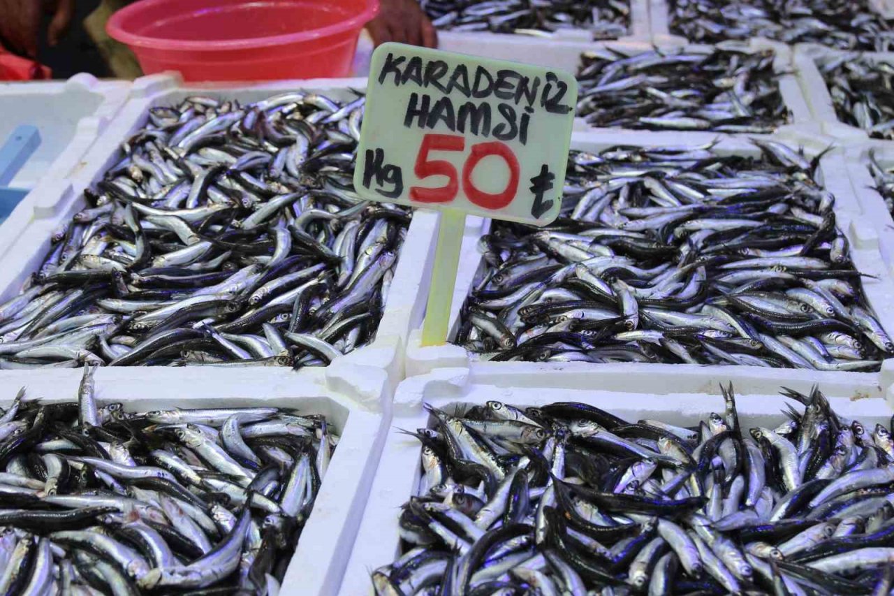 Palamut olmayınca krallık hamsiye kaldı