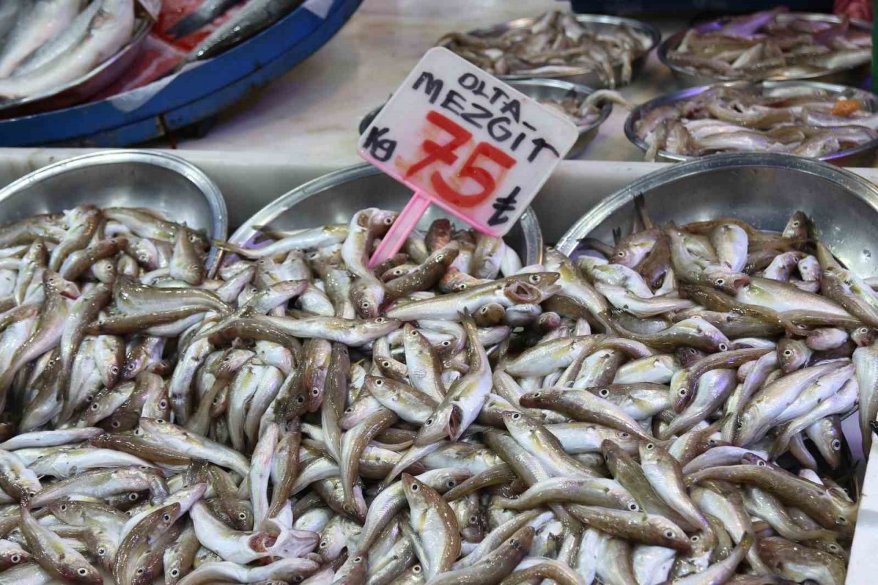 Palamut olmayınca krallık hamsiye kaldı