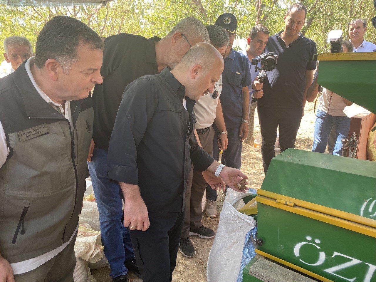 Hibe desteğiyle kurulan badem bahçesinde hasat başladı