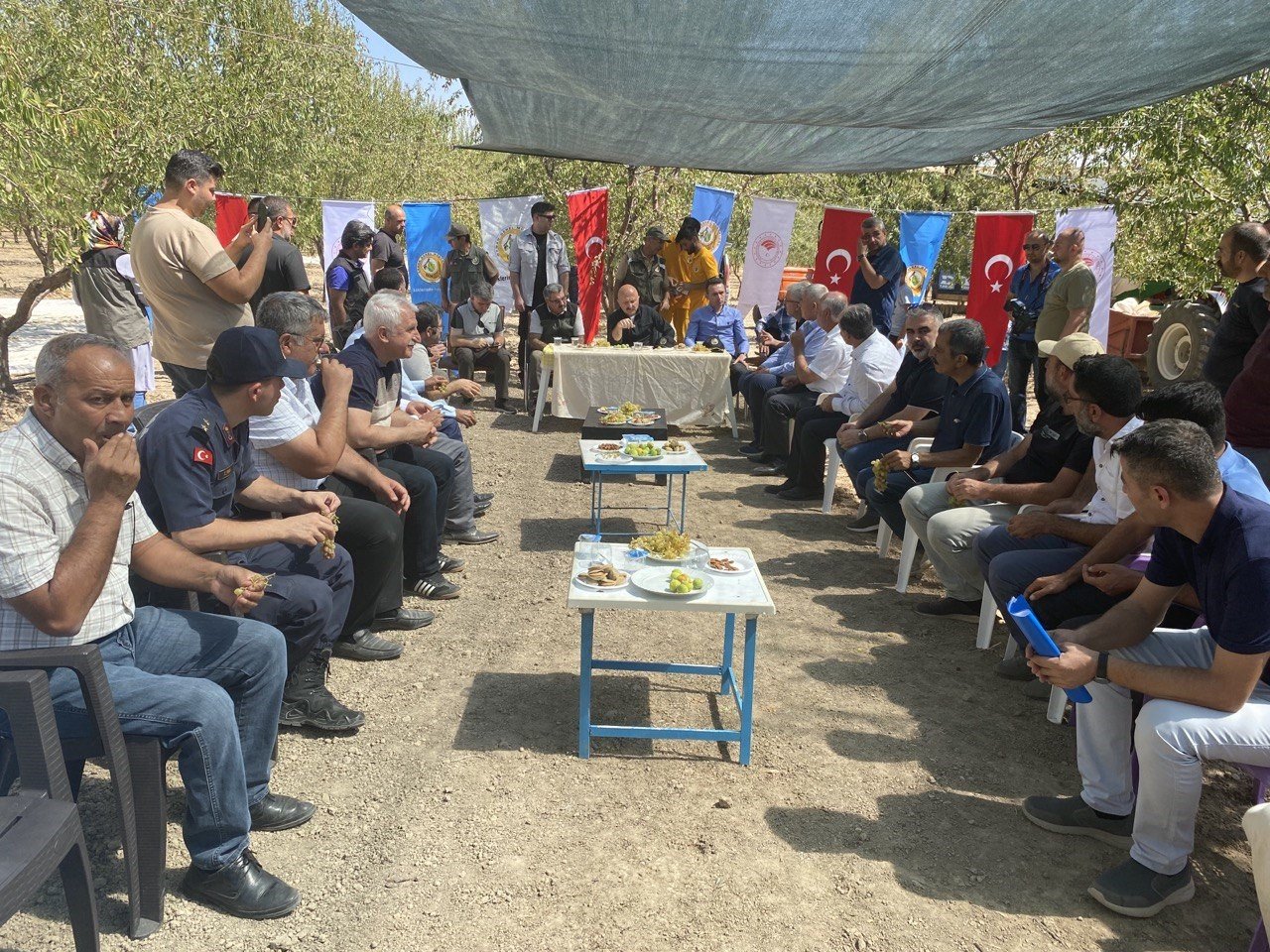 Hibe desteğiyle kurulan badem bahçesinde hasat başladı